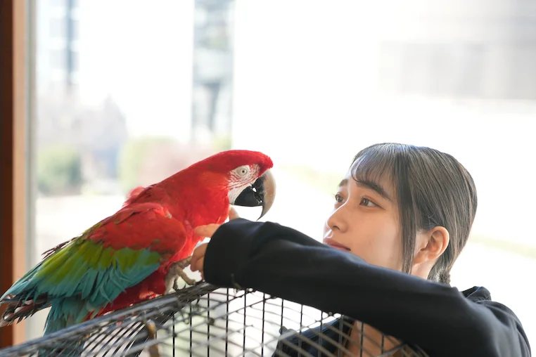 学校法人 福岡安達学園 専門学校福岡ビジョナリーアーツ 製菓 カフェ ペット 専門学校 学校法人 福岡安達学園 専門学校福岡ビジョナリーアーツ 製菓 カフェ ペット 専門学校