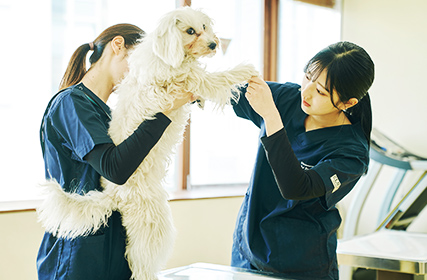 飼育員 ARTPLA 飼育員とシロサイセット｜プラモケイ｜海洋堂