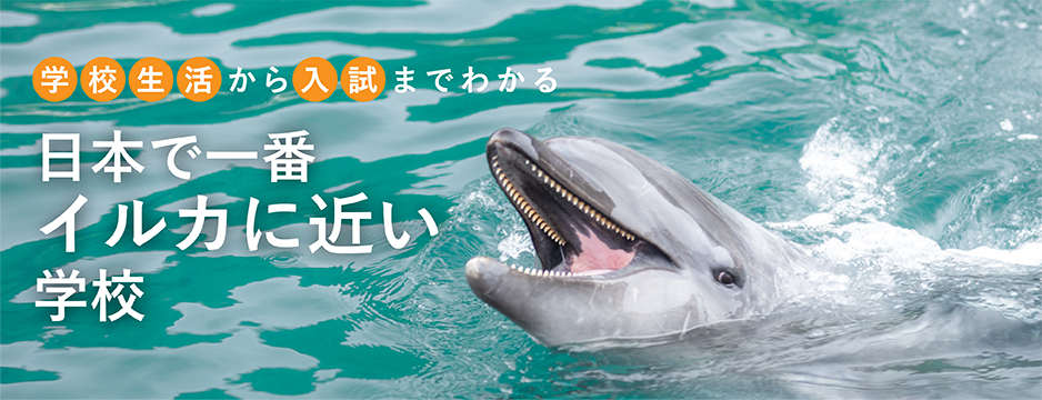 学校生活から入試までわかる 日本で一番イルカに近い学校