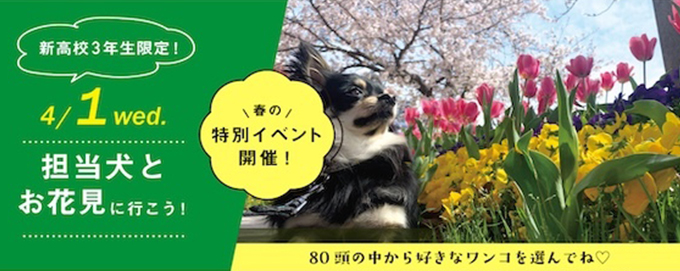 ペット学科体験講座