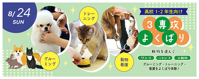 ペットイベント