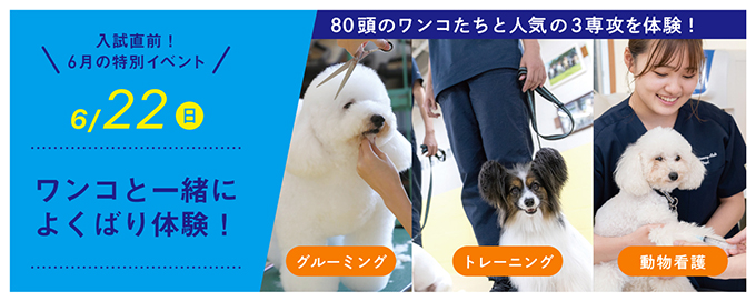 ペットイベント