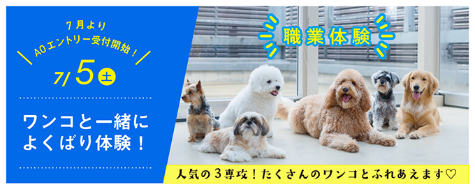 ペットイベント